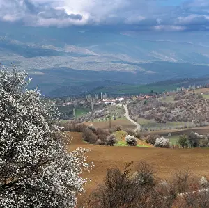Corum: Landscape, Anatolia, Turkey