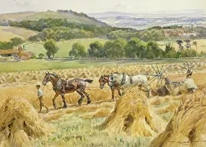 Stooks: Landscape with Binding Scene