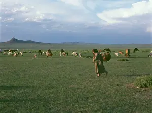 Burd: Landscape at Burd, Mongolia