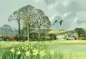 Shannon: Landscape with Daffodils