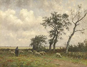 Herbivores: Landscape in Drenthe