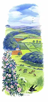Blackbird: Landscape with fields and wild rose