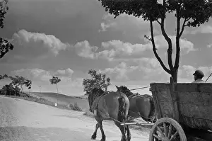 Reichsgau: Landscape at Graudenz, 1942