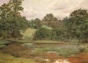 Hedges: Landscape in Leicestershire