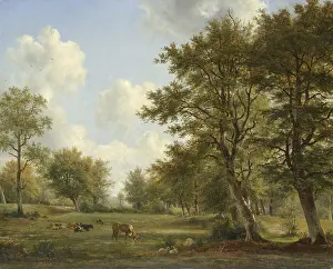 Jacobus: Landscape near Hilversum