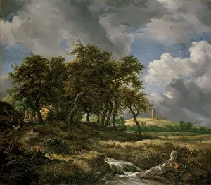 Ruisdael: Landscape near Muiderberg