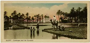 Socail: Landscape near Pyramids