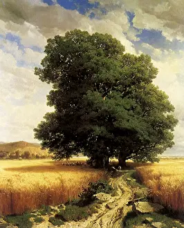 Oaks: Landscape with Oaks