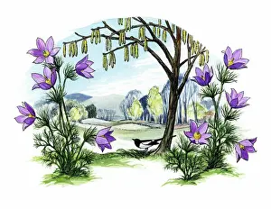 Magpie: Landscape with pasque flowers and magpie