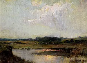 Landscape : River Lagan, near Belfast