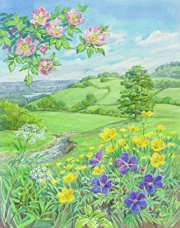 Hymn: Landscape with river, wild flowers in foreground