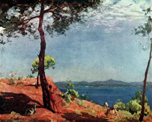 Talmage: Landscape with Sea View