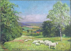 The Medici Society Ltd.: Landscape with Sheep