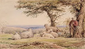 Linnell: Landscape with Sheep