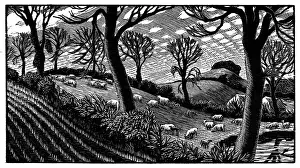 Bucolic: Landscape with sheep in field by pond
