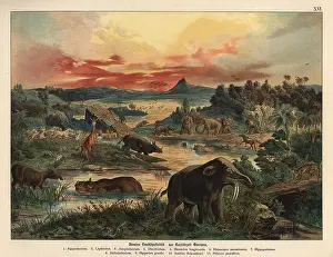 Gotthilf: Landscape in Tertiary era Europe