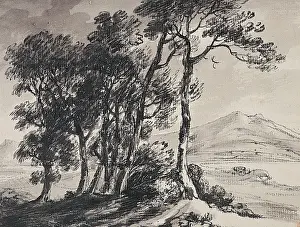 Monro: Landscape and Trees