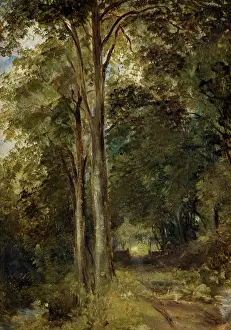 Nicholl: Landscape with Trees