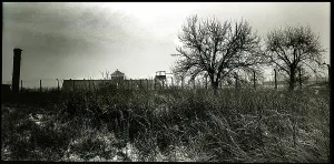 Morbid: Landscape view of Auschwitz-Birkenau