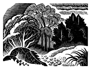 Illustrating: Landscape with woods