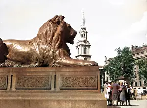 Bycolourisedpic: LANDSEER LION