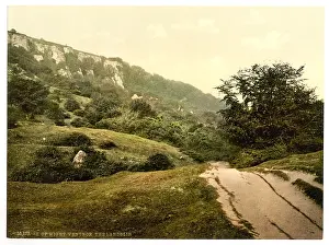 Landslip: The Landslip, Isle of Wight, England