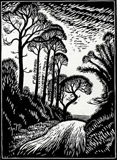 Bumpy: The Lane