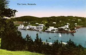 Bermudan: The Lane, Bermuda