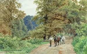 Cockington: Lane at Cockington, near Torquay, South Devon