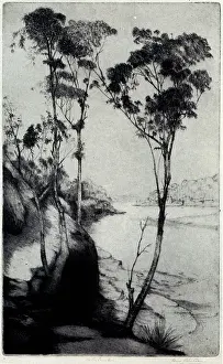 Meandering: On The Lane Cove
