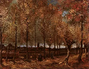 Poplar: Lane with Poplars, by Van Gogh