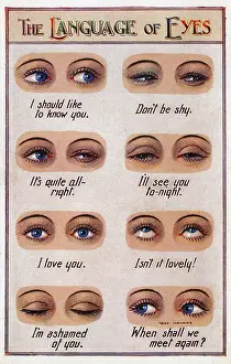 Eyelashes: The Language of Eyes