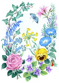 Faithfulness: The Language of Flowers