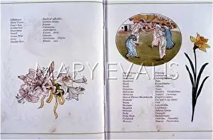 Greenaways: LANGUAGE OF FLOWERS
