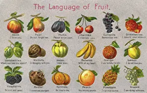 The Language of Fruit