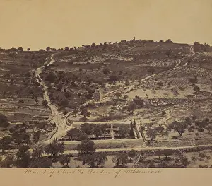 Gethsemane: Lanscape - Mount of Olives - of Gethsemane - Jerusalem