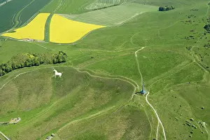 Oldbury: The Lansdowne Monument and Cherhill White Horse