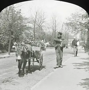 Bygones: Lantern Slide Series - Bygones