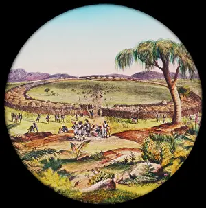 Kraal: LANTERN/ZULU/KINGS KRAAL