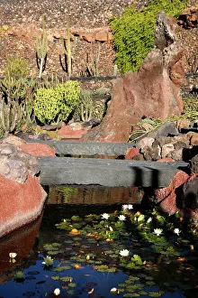 Manrique: Lanzarote