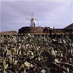 Lanzarote: LANZAROTE WINDMILL