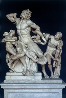 Polidoro: Laocoon, celebrated sculpture group, Vatican Museums