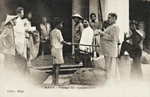 Flavouring: Laos - Sacks of cardamom being weighed