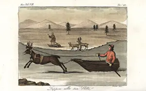Lapp: Lapp in a sleigh pulled by a reindeer
