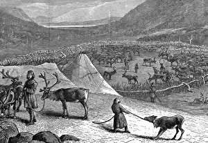 Corral: Lapps encampment with reindeer corral. Nomadic
