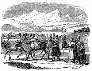 Migration: Lapps setting out on a migration with reindeer