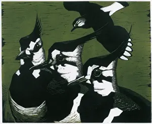 Linocut: Lapwings