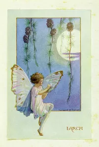 Printedcopy: Larch Fairy
