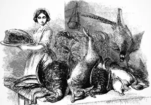 Fowl: A larder of fish and game