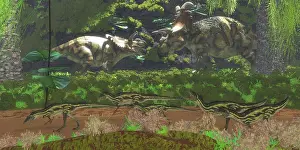 Nesmoi: Two large Albertaceratops dinosaurs having a disagreement